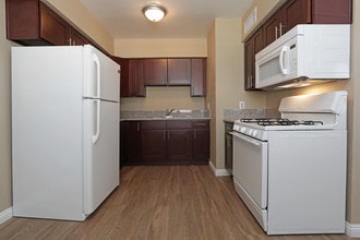 Canyon Vista Apartment Homes in Sierra Vista, AZ - Building Photo - Interior Photo