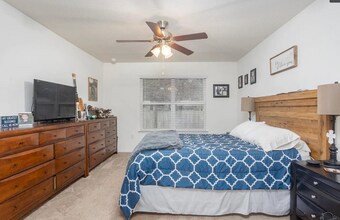 9470 Lutoo Ln in Bellview, FL - Building Photo - Building Photo