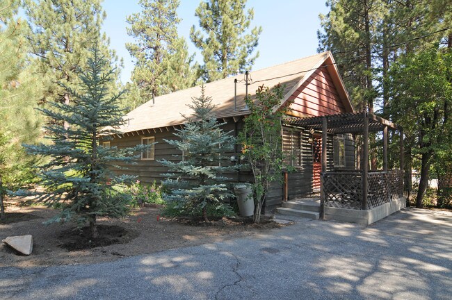572 Jeffries Rd in Big Bear Lake, CA - Building Photo - Building Photo