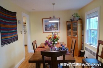 42 Hatfield Rd in Newton, MA - Building Photo - Building Photo