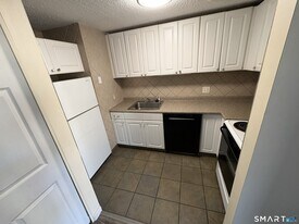 20 Burgundy Hill Ln in Middletown, CT - Building Photo