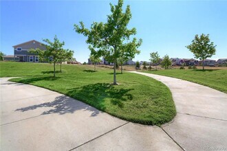 1696 Odyssey Ct in Castle Rock, CO - Building Photo - Building Photo