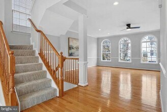 21758 Flora Springs Terrace in Ashburn, VA - Building Photo - Building Photo