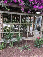 418 Goodall Ave, Unit 1 in Daytona Beach, FL - Foto de edificio - Building Photo