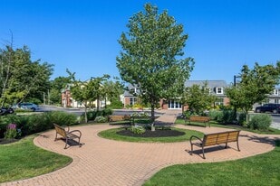 River Birch at Watertown in Watertown, MA - Building Photo