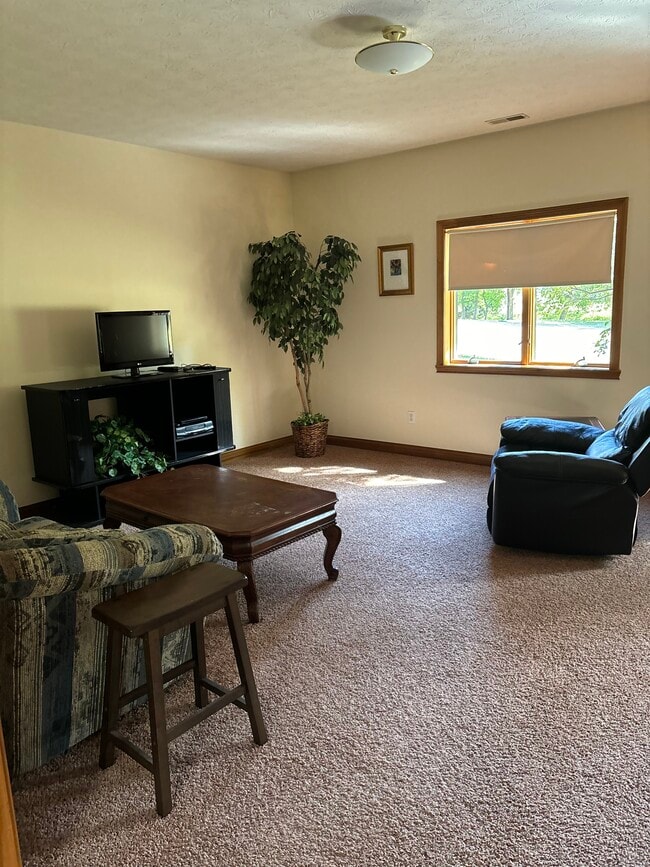 1099 N County Road 300 E, Unit Basement in Danville, IN - Building Photo - Building Photo