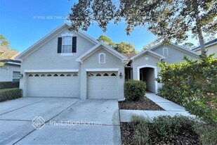 16161 Colchester Palms Dr in Tampa, FL - Building Photo