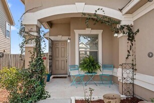 19213 Zachary Taylor St in Manor, TX - Building Photo