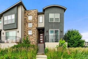 2620 Meadows Blvd in Castle Rock, CO - Building Photo
