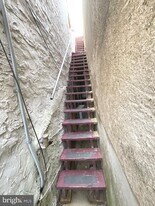 127 Green Ln in Philadelphia, PA - Building Photo