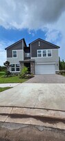 17837-17837 Grassybend Lp in Land O Lakes, FL - Building Photo
