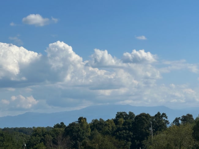 property at 141 James Way