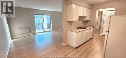 3900 Wyandotte St E in Windsor, ON - Building Photo - Building Photo