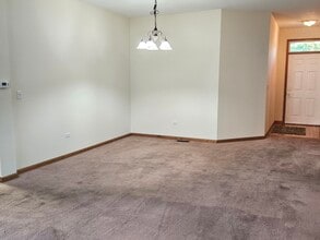 21357 W Douglas Ln in Plainfield, IL - Building Photo - Building Photo