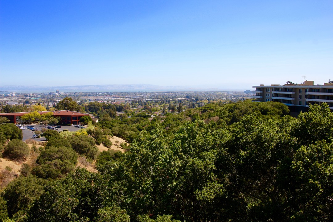 Oakview in San Mateo, CA - Building Photo