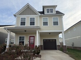 3049 Blueberry Ln in Franklin, TN - Building Photo