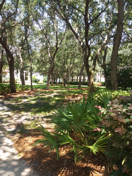 1854 Carnation St in Fernandina Beach, FL - Building Photo