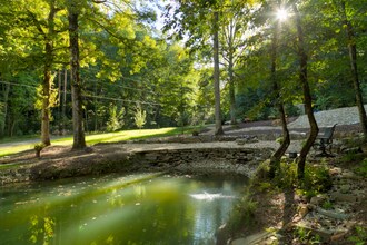 250 Lovell Ln in Tiger, GA - Foto de edificio - Building Photo