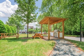 Alta Grove in Charlotte, NC - Foto de edificio - Building Photo