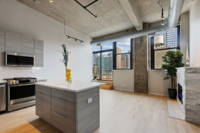 843 W Adams St, Unit 705 in Chicago, IL - Building Photo