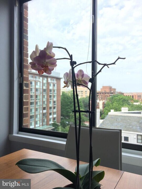 1301 20th St NW in Washington, DC - Building Photo