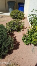 6429 Amposta Dr in El Paso, TX - Building Photo - Building Photo