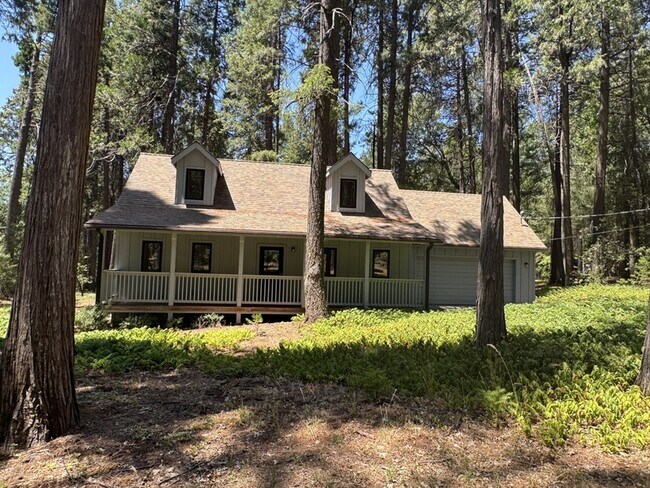 13216 Tranquility Ln in Nevada City, CA - Building Photo - Building Photo