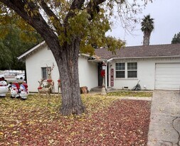 1306 Canal Farm Ln in Los Banos, CA - Building Photo