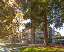 Shorebreeze Apartments Phase II in Mountain View, CA - Building Photo - Building Photo