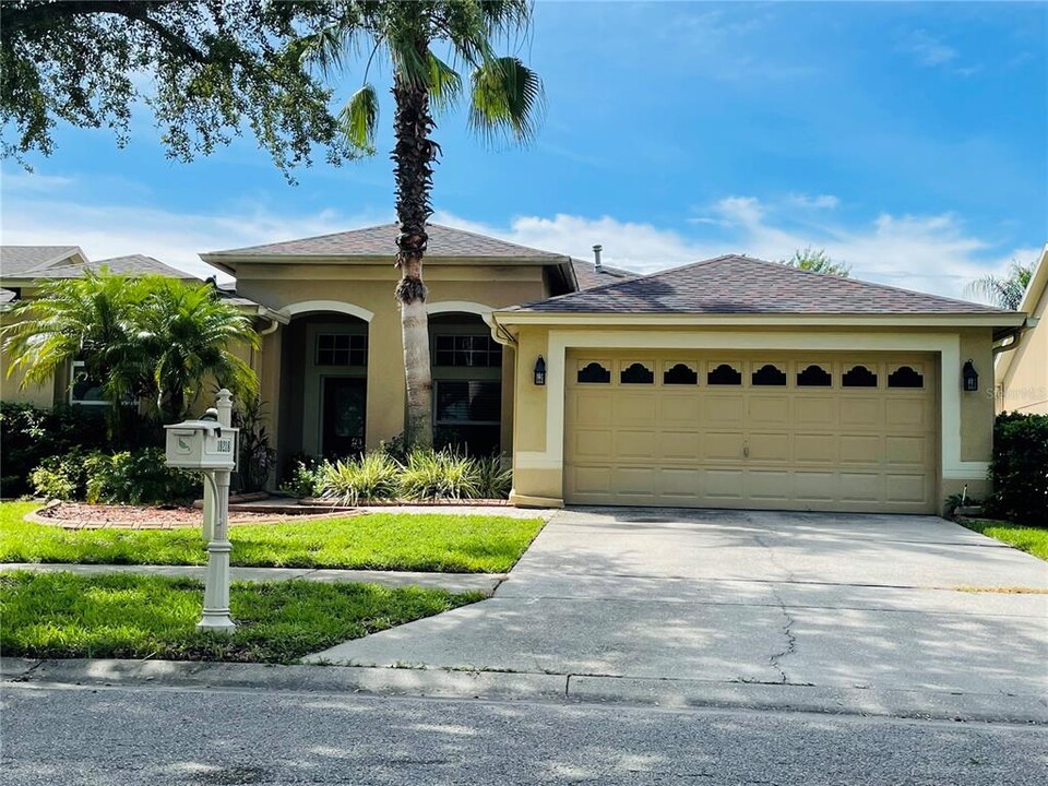 10218 Timberland Point Dr in Tampa, FL - Building Photo