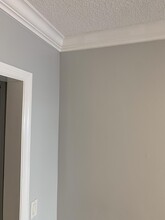 6551 NE 7th Ave in Boca Raton, FL - Building Photo - Building Photo