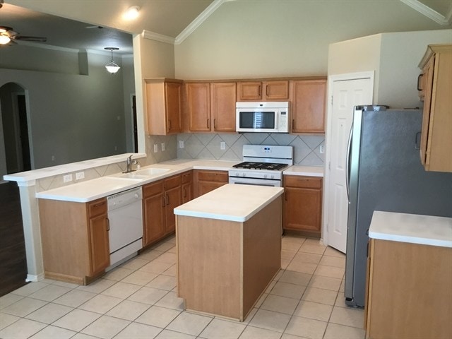 1016 Brazos Ct in League City, TX - Building Photo - Building Photo