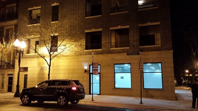 340 W Evergreen Ave in Chicago, IL - Building Photo - Building Photo
