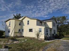 968 Double Church Rd in Stephens City, VA - Building Photo - Building Photo