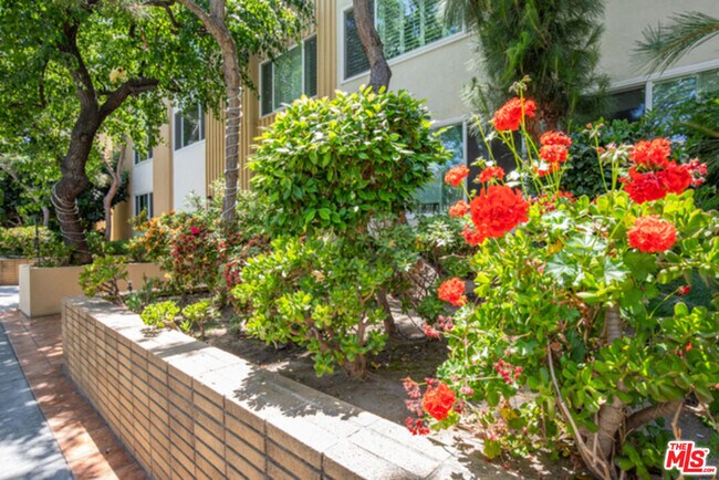 165 N Swall Dr in Beverly Hills, CA - Building Photo - Building Photo