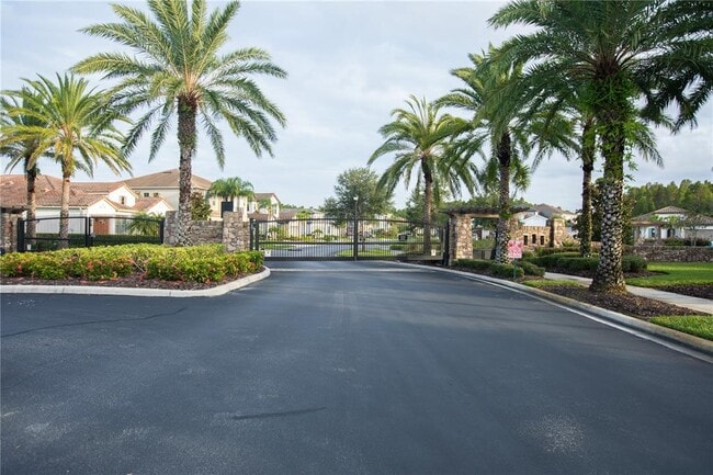 32331 Firemoss Ln in Wesley Chapel, FL - Building Photo - Building Photo