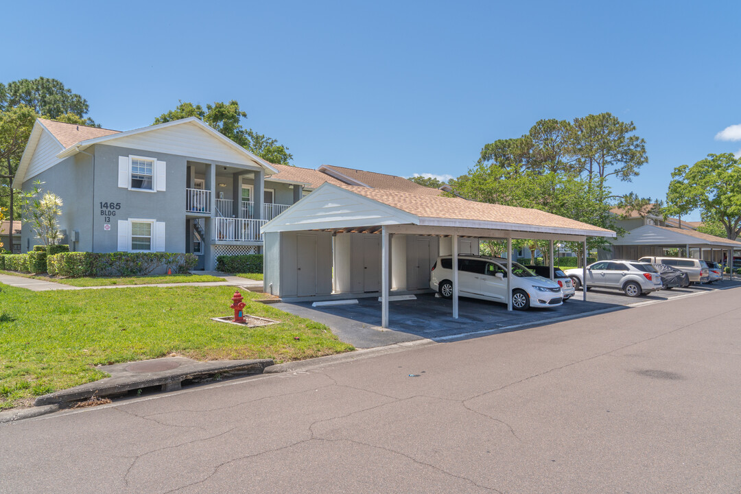 Tiffany Lake Condos in Dunedin, FL - Foto de edificio