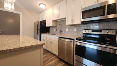 447 S Jefferson Ave in St. Louis, MO - Building Photo - Building Photo