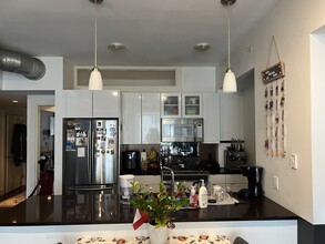 257 Northampton St in Boston, MA - Building Photo - Building Photo