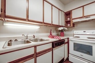 River Park Tower Apartment Homes in Newport News, VA - Foto de edificio - Building Photo