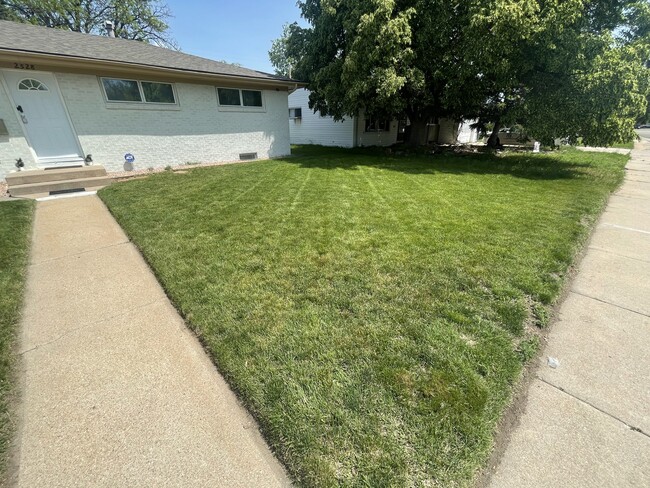 2528 14th Ave Ct in Greeley, CO - Building Photo - Building Photo