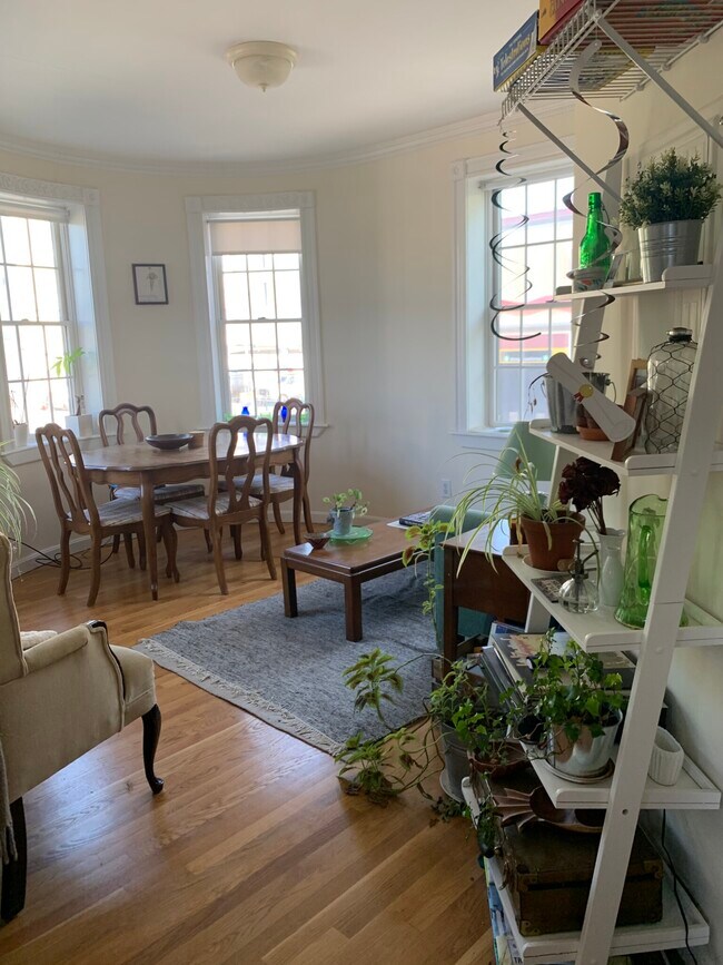 4 Bishop Allen Dr, Unit 1 in Cambridge, MA - Building Photo - Building Photo