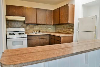 873 W Lill Ave, Unit b3 in Chicago, IL - Building Photo - Building Photo