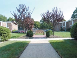 Rider Terrace Apartments in Patchogue, NY - Building Photo - Building Photo