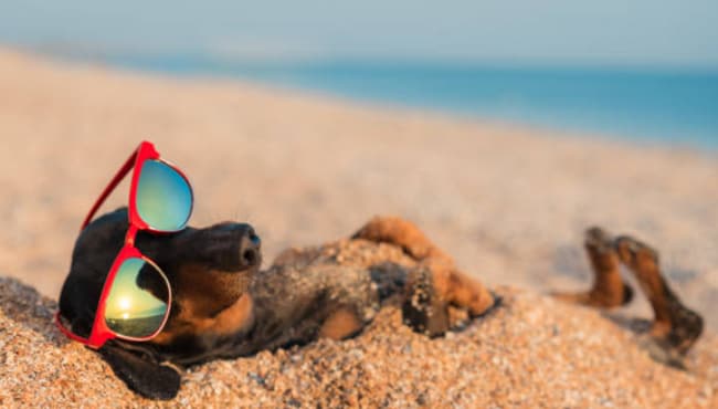 property at 133 Boracay Cir