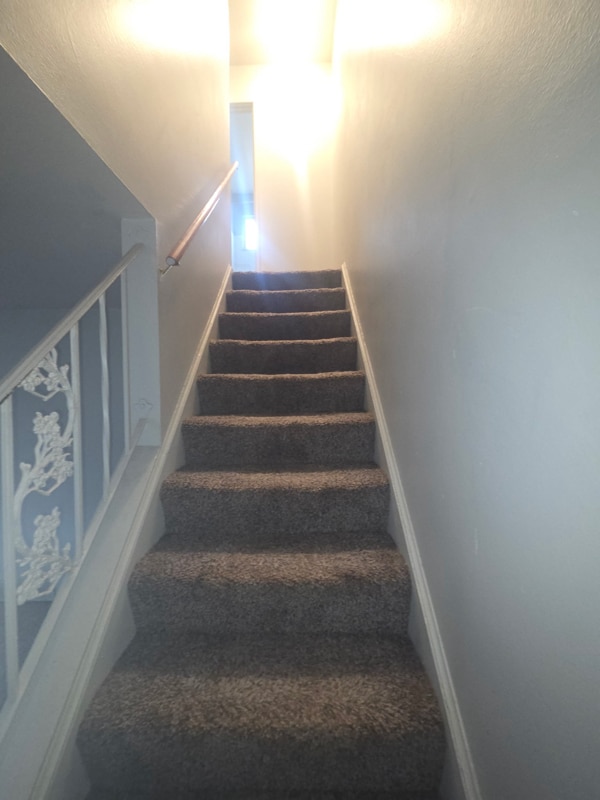 331 Mathews Rd in Boardman, OH - Building Photo - Building Photo