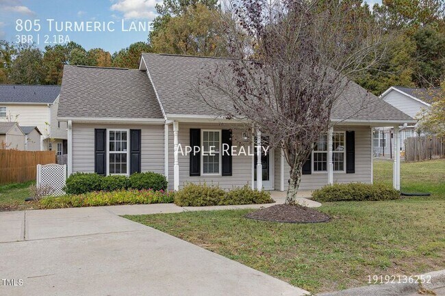 property at 805 Turmeric Ln