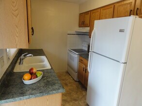 1728 Blue Spruce W Ct in Dunlap, IL - Building Photo - Building Photo