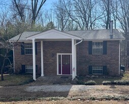 234 Middle Rd in Lookout Mountain, GA - Building Photo