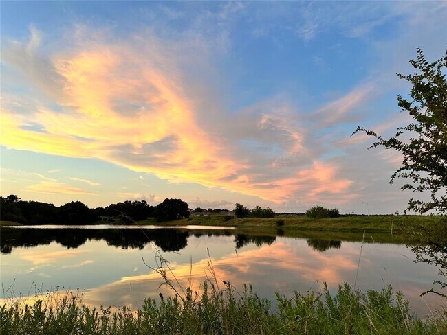 4437 Wilder Farm Ln in Georgetown, TX - Building Photo - Building Photo
